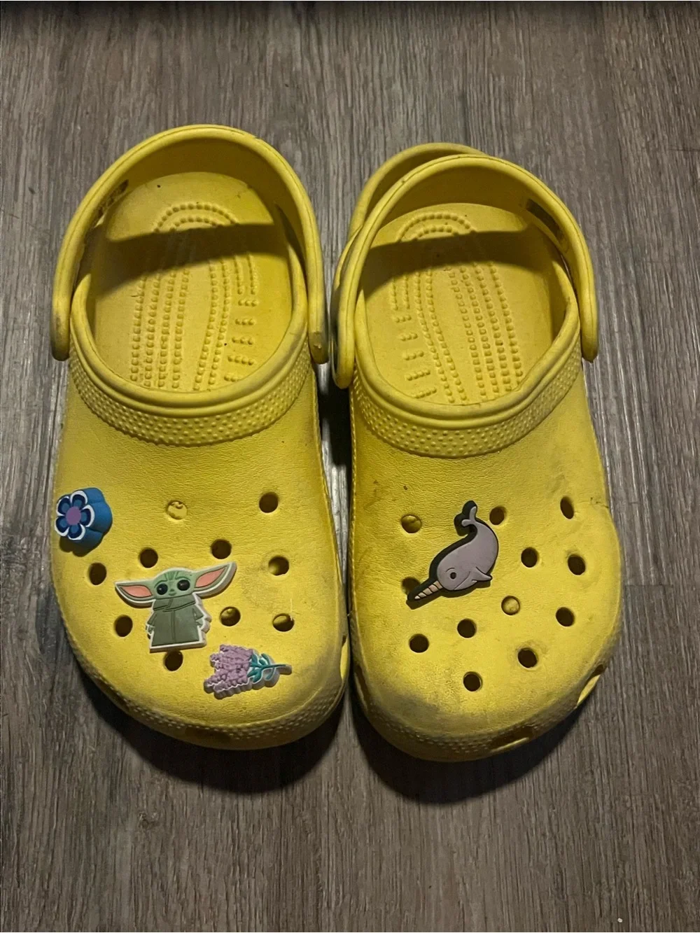 CROCS Kids Yellow Clog Sandals with Charms